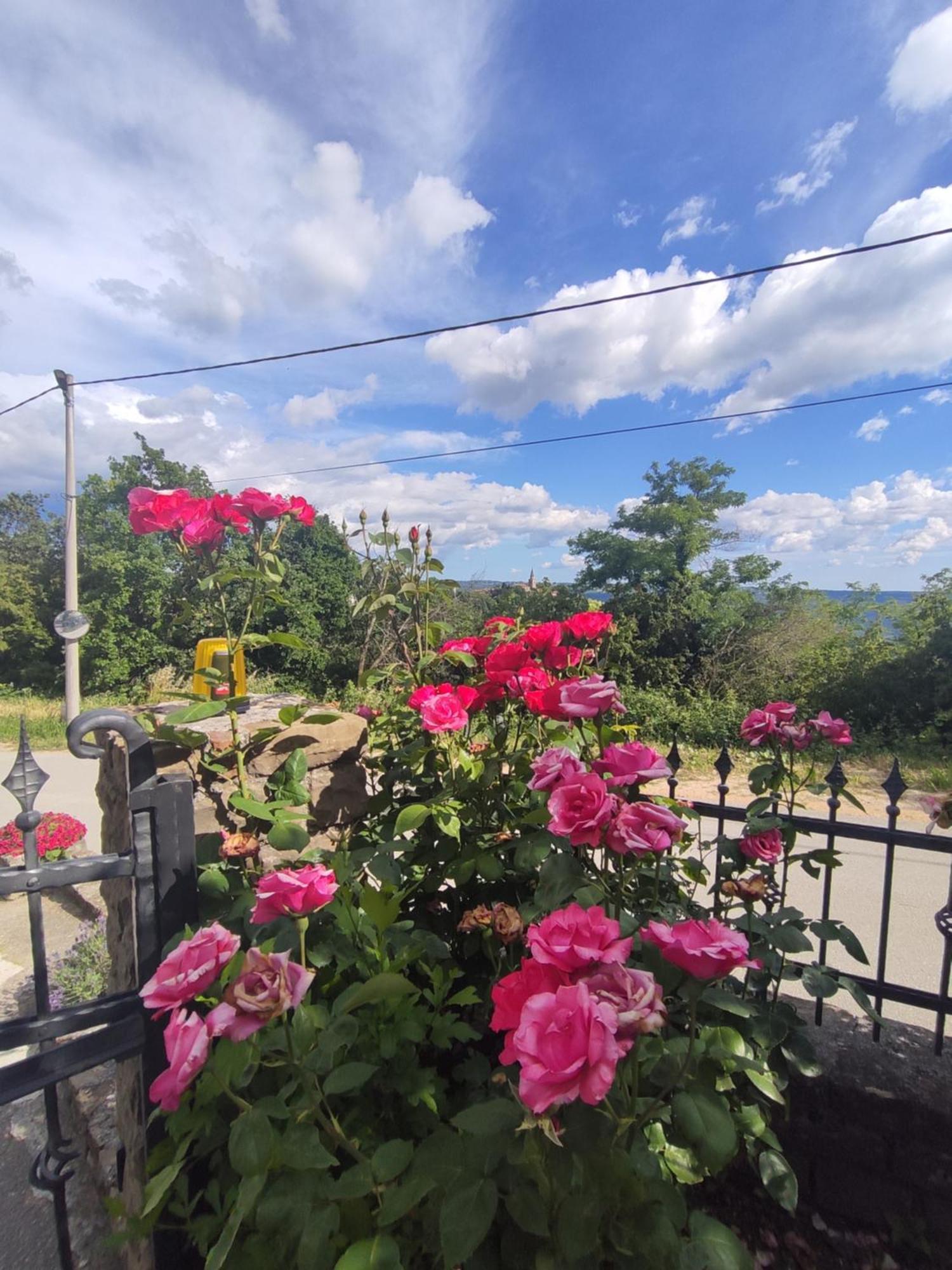 Apartman Villa Romana グロジュニャン エクステリア 写真